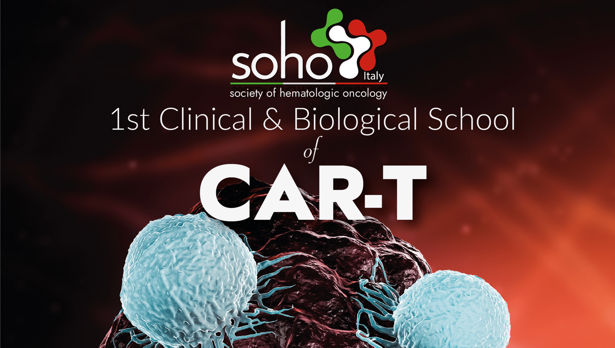 SOHO CAR T